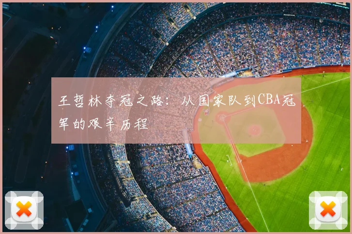 王哲林夺冠之路:从国家队到CBA冠军的艰辛历程
