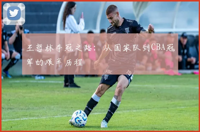王哲林夺冠之路：从国家队到CBA冠军的艰辛历程