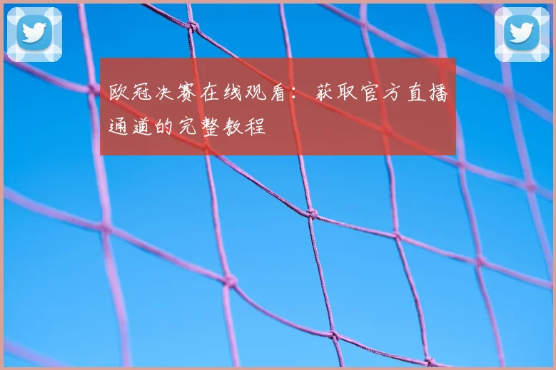 欧冠决赛在线观看：获取官方直播通道的完整教程